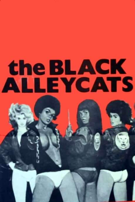 The Black Alley Cats